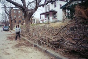 sticks by the curb
