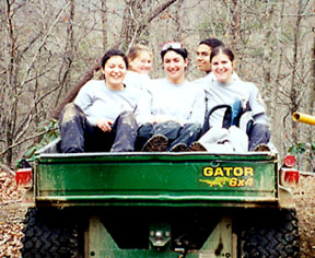 the Gator