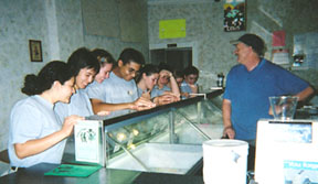 icecream2.jpg